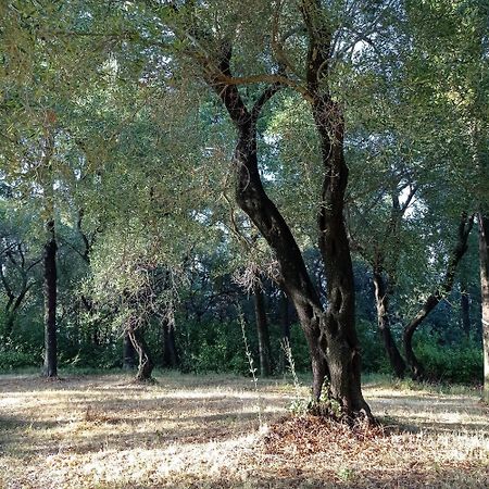 Villa Kefalomandouko Alepou Esterno foto