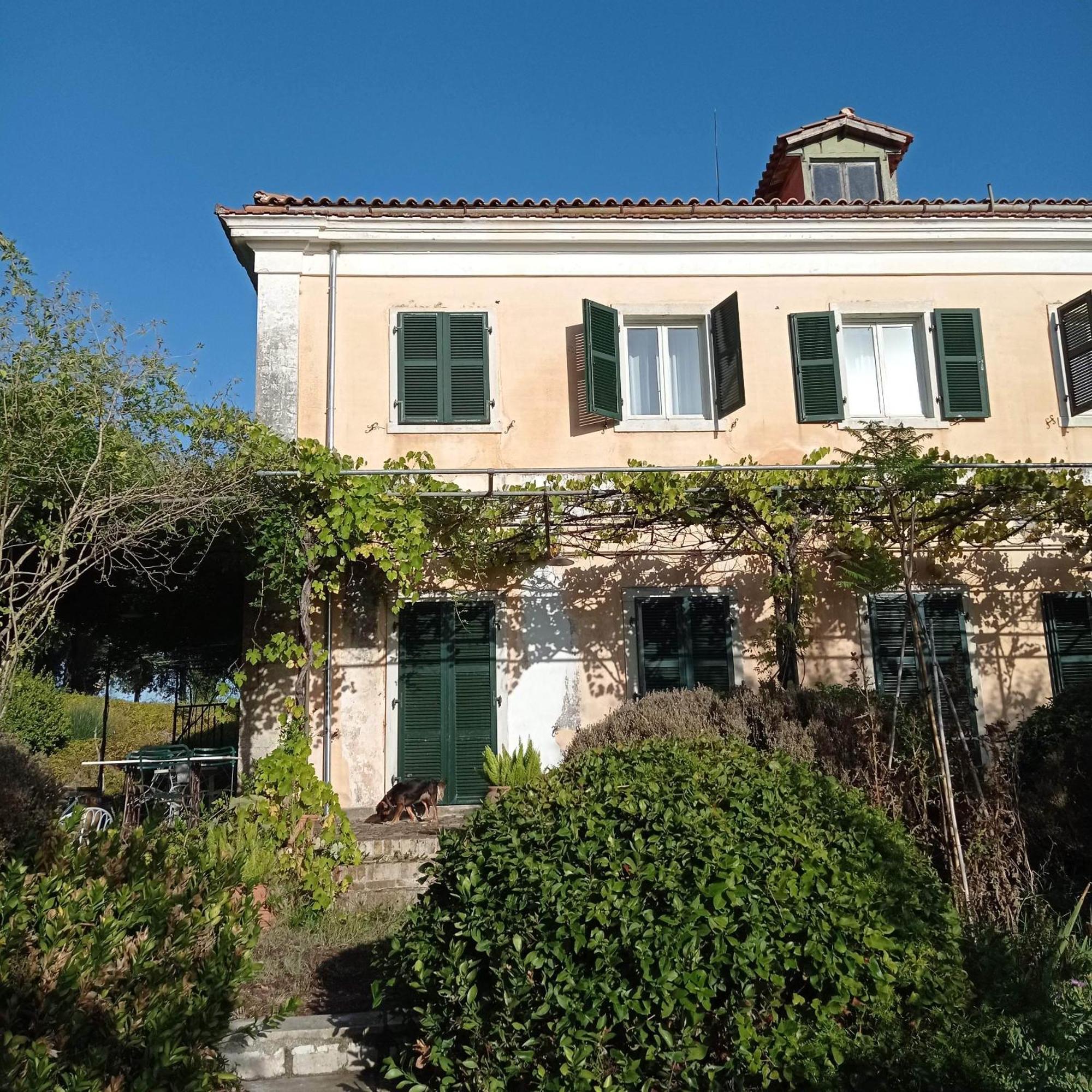 Villa Kefalomandouko Alepou Esterno foto