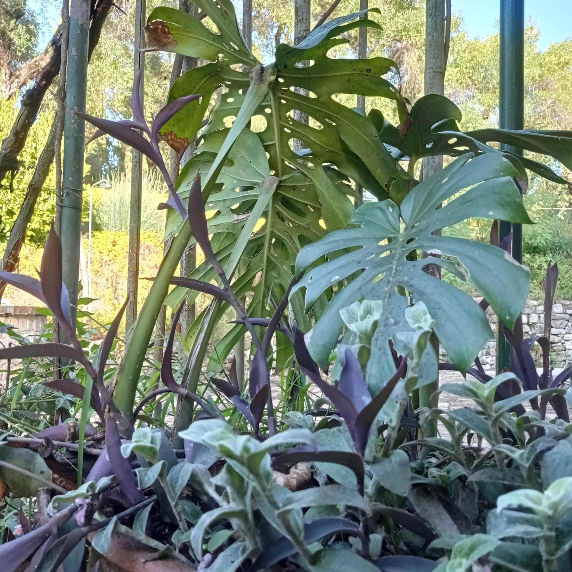 Villa Kefalomandouko Alepou Esterno foto